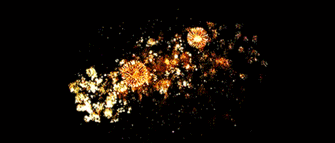 Gif animé feux d'artifices 103